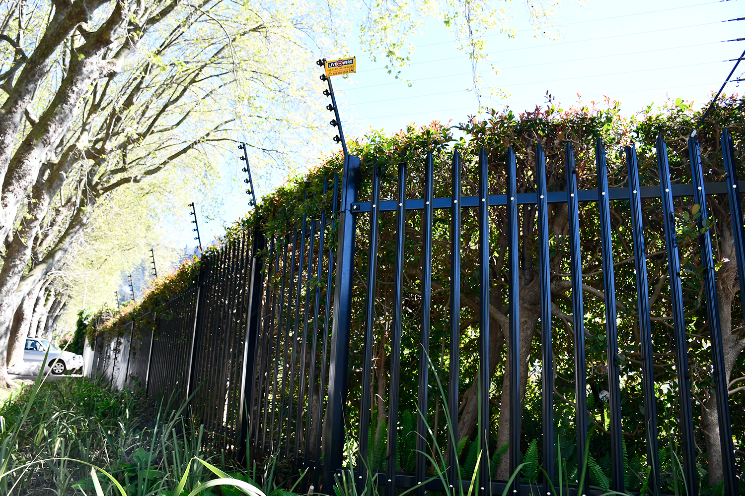 Palisade fencing with trees